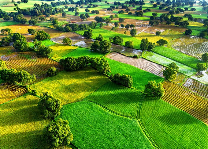 Tây Nam Bộ được đầu tư theo hướng xanh, bền vững, bất động sản hưởng lợi - 2